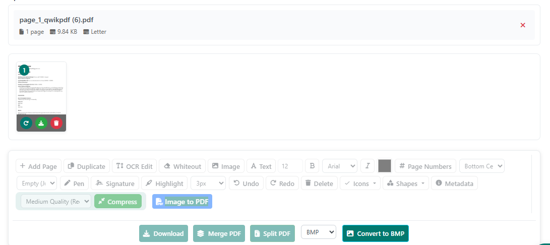 PDF to BMP conversion options